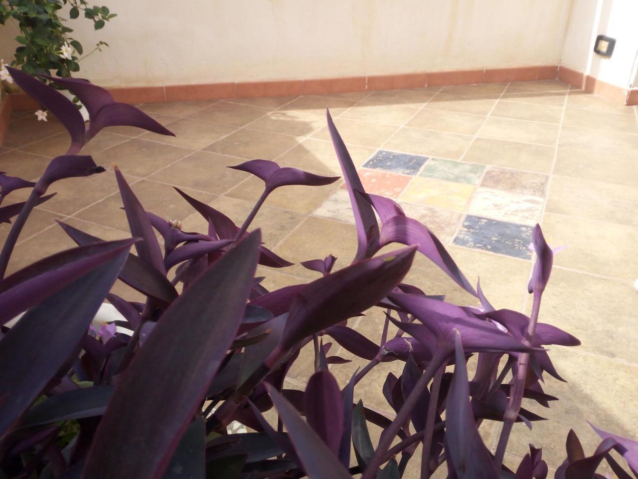 B&B Al Centro Storico Agrigento Exterior photo