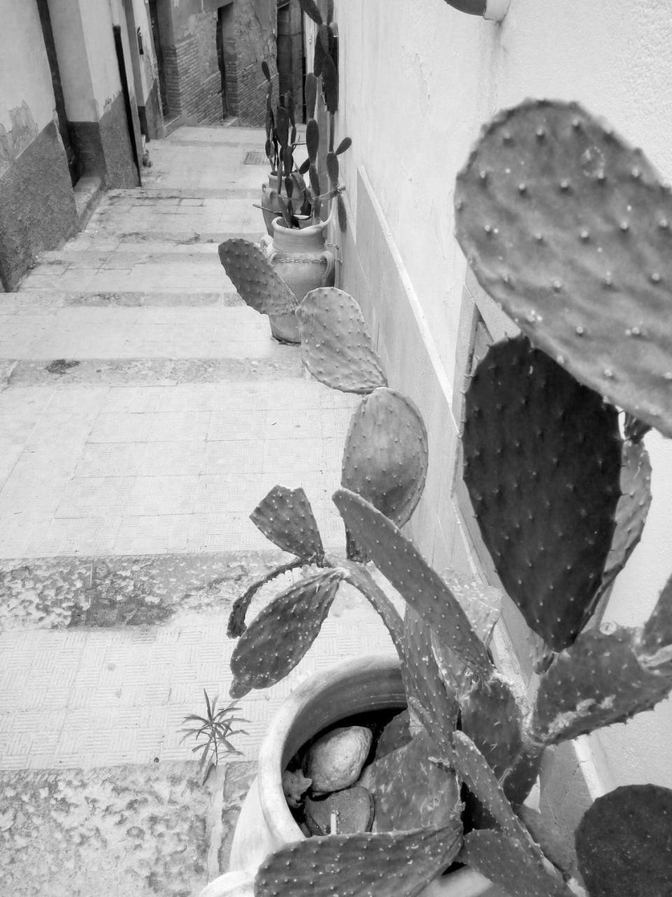 B&B Al Centro Storico Agrigento Exterior photo